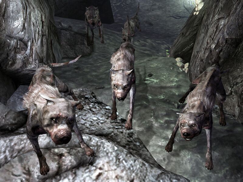 Datei:Vicious dogs Warren.jpg