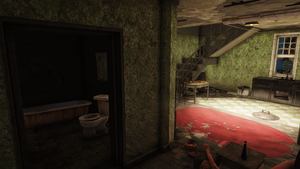 Wixon homestead bathroom.png