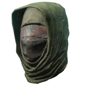 Fo4DisciplesHood.png