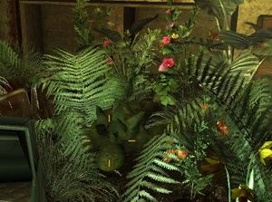 Hidden spore carrier.jpg