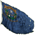 Die Nevada Flagge