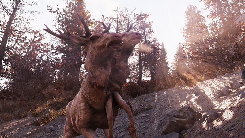 Datei:FO76 Majestic observant lad 2.png