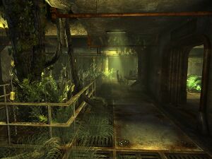 Vault 22 Food Distribution.jpg