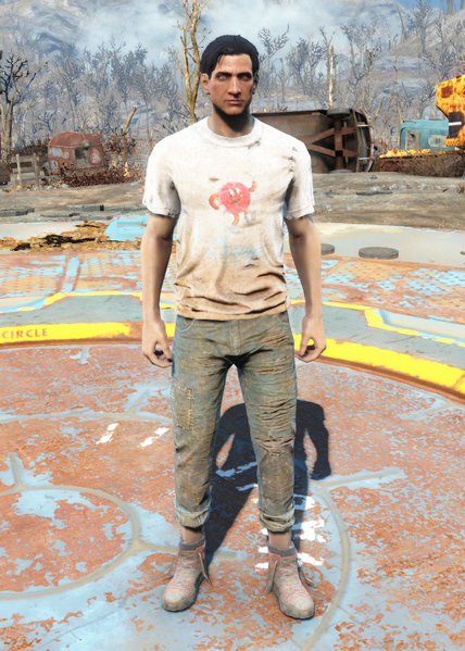Datei:Fo4 Cappy Shirt and Jeans.png