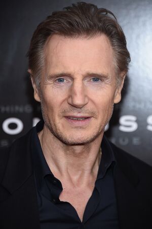 Liam Neeson2.jpg