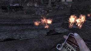 Nuka afterfire.jpg