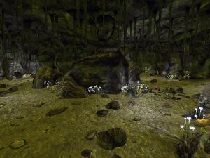 Walking Box cavern south.jpg