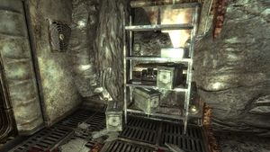 FO3 Vault 106 mini nuke.jpg