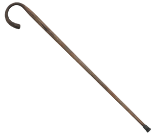Walking cane.png