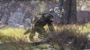 Mega sloth near Helvetia.jpg