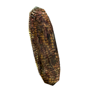 Wild corn.png
