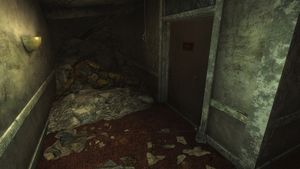 Grenade bouquet4 Statesman Hotel.jpg