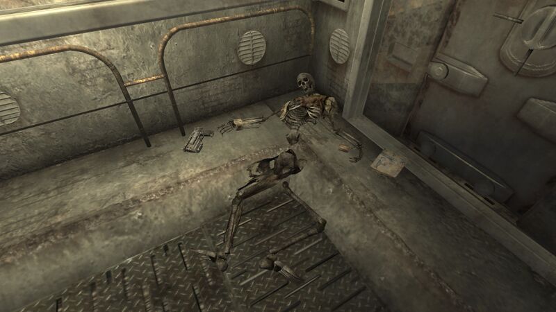 Datei:Alfa Lima Tumblers Today.jpg