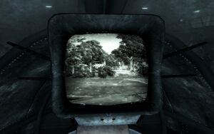 Black and white adventure begins.jpg