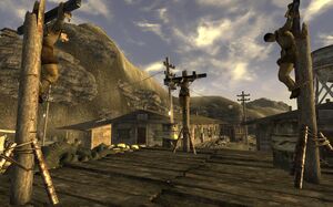 Back in your own Backyard.jpg