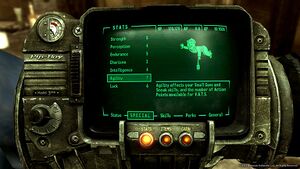 Pip-Boy 3000.jpg