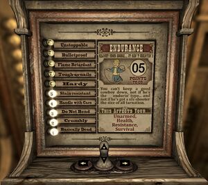 Vitomatic Endurance screen.jpg