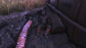 FO76 Allemane after WL.png