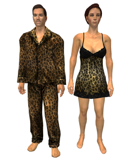 Naughty nightwear.png