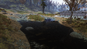FO76 Flatwoods River 5.png