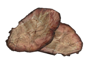 Radscorpion steak.png