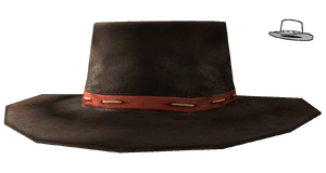 Daniels hat.png