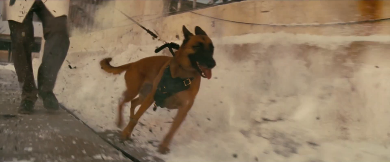 Datei:FOTV Trailer 1 44.png