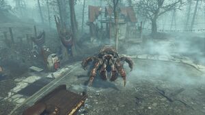 FO4FH-HermitCrab-Active.jpeg