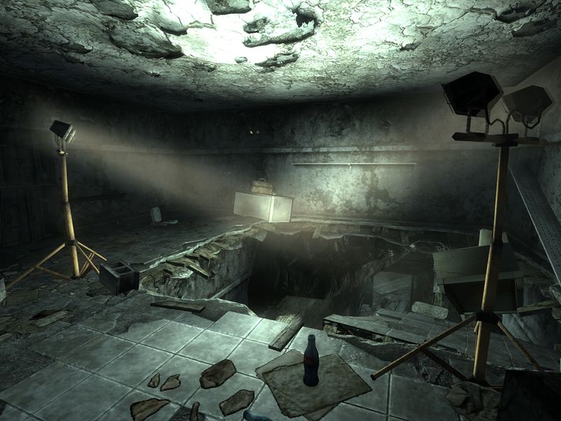 Datei:SS lower level ants.jpg