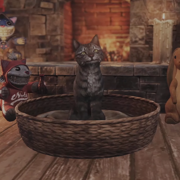 Datei:FO76 Pets tabby cat preview.png