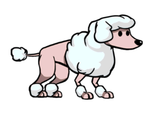 Poodle.png