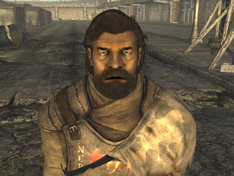 Datei:FNV Dhatri w beret.png