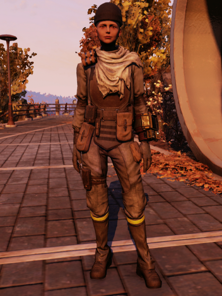 Datei:FO76WL Insurgent Outfit Female.png