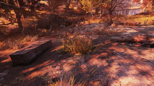 FO76 Location 8621 2.png