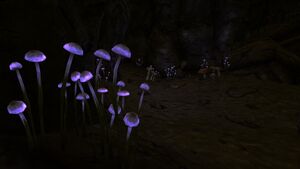 Walkingboxpurplefungus.jpg