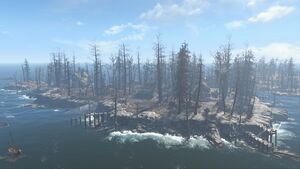 Huntress Island clear sky.jpg