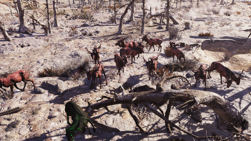 Datei:FO76 101021 Location 10.png