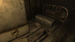 MDS East abandoned shack Tumblers Today.jpg