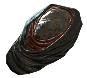 FO4 NW DisciplesHeadCovering.png