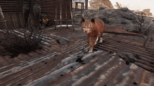 FO76 Kitty in the Ash Heap.png