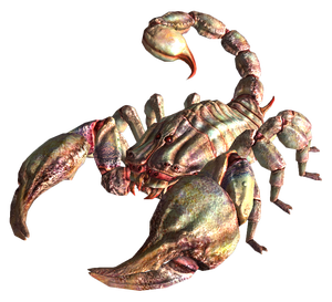 Albino radscorpion.png