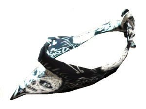 Skull bandana.png