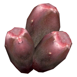 PricklyPearFruit2.png