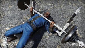 FO76 S2 Bench.jpg