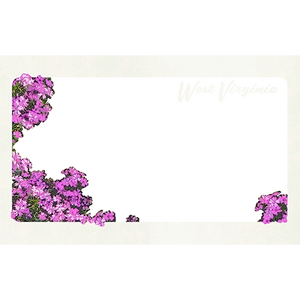 Atx photomode frame flowers l.webp