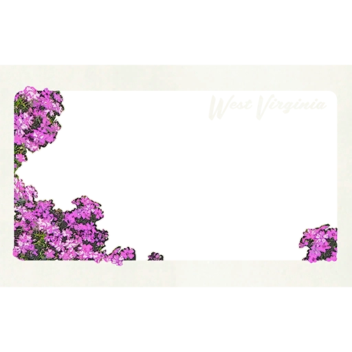 Datei:Atx photomode frame flowers l.webp