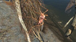 FO4 Bloodbug Hatchling.jpg