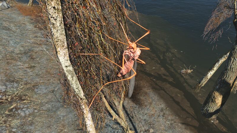 Datei:FO4 Bloodbug Hatchling.jpg