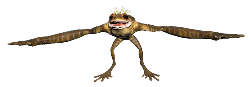 Datei:FO76WA Captured frog.png