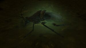 Irradiated radroach.jpg